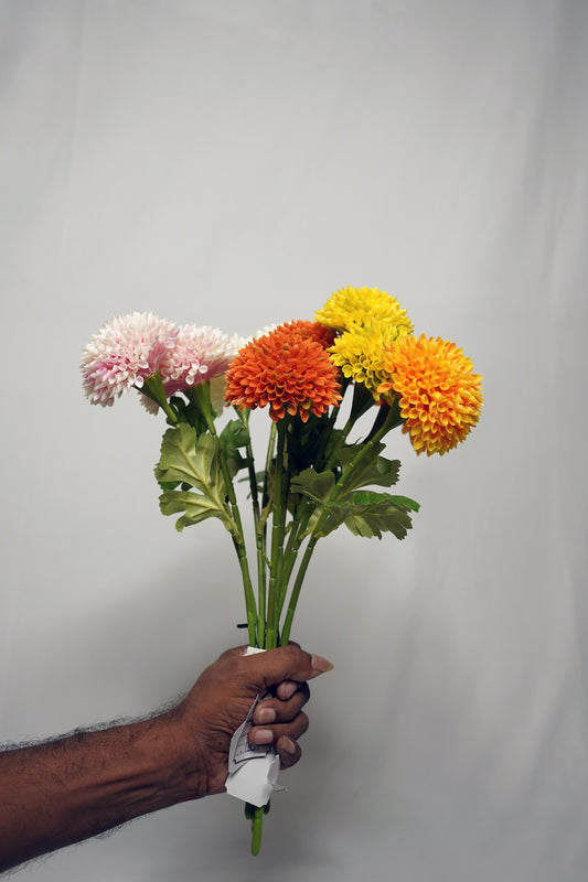 Mixed Color Pom Pom Flower Stems