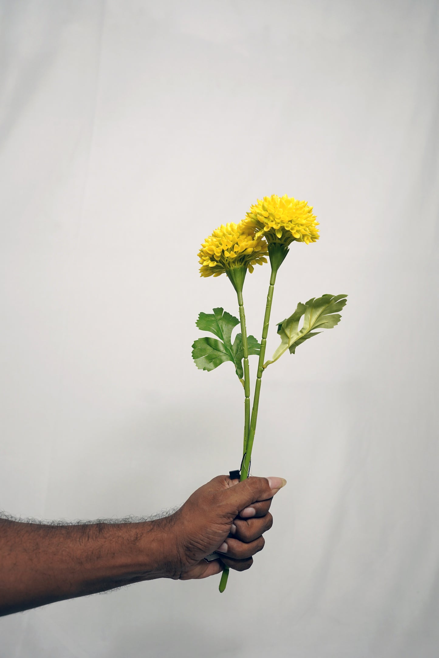 Golden Glow Gerbera Stick