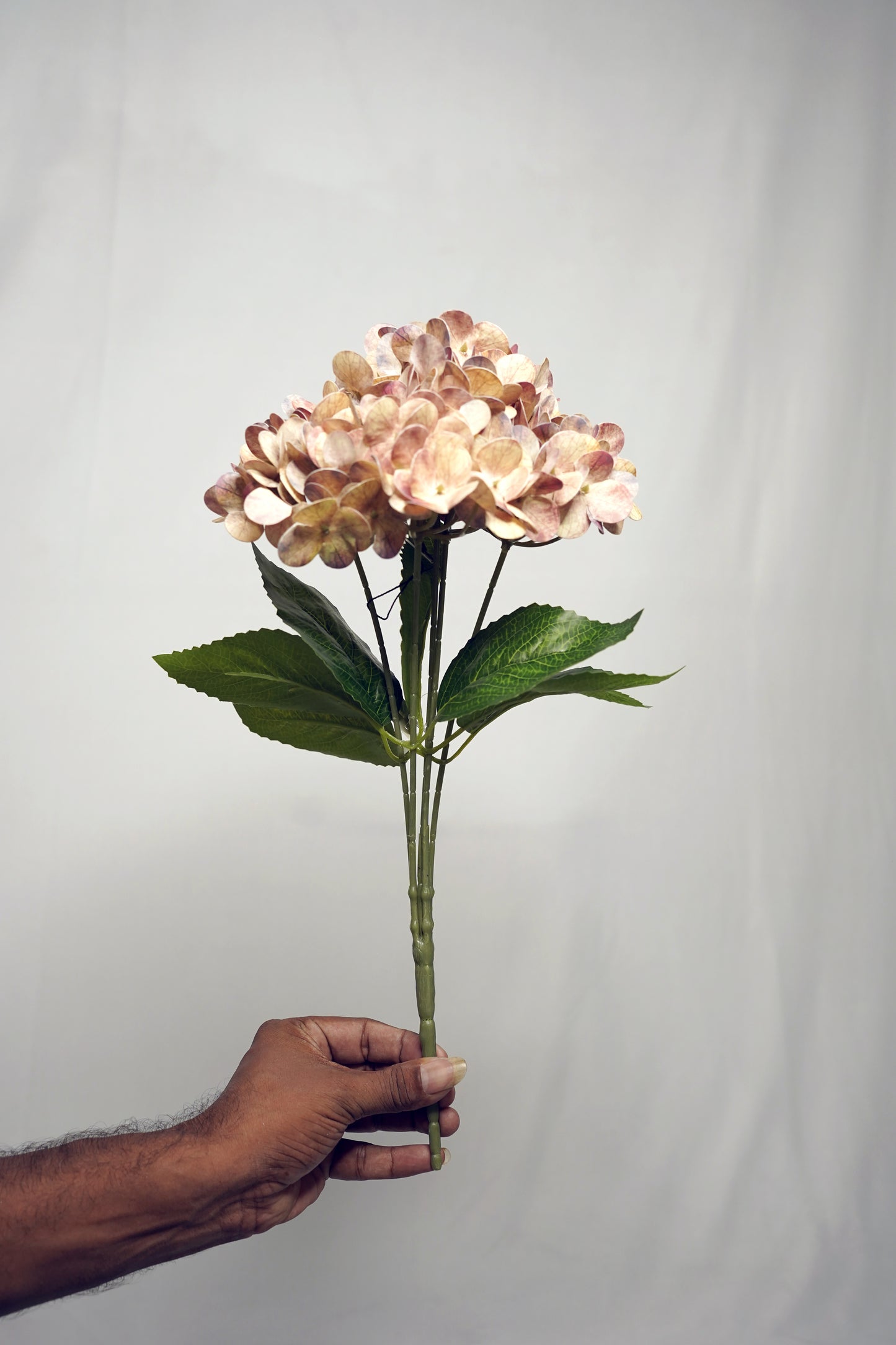 Beige Hydrangea Artificial Flower