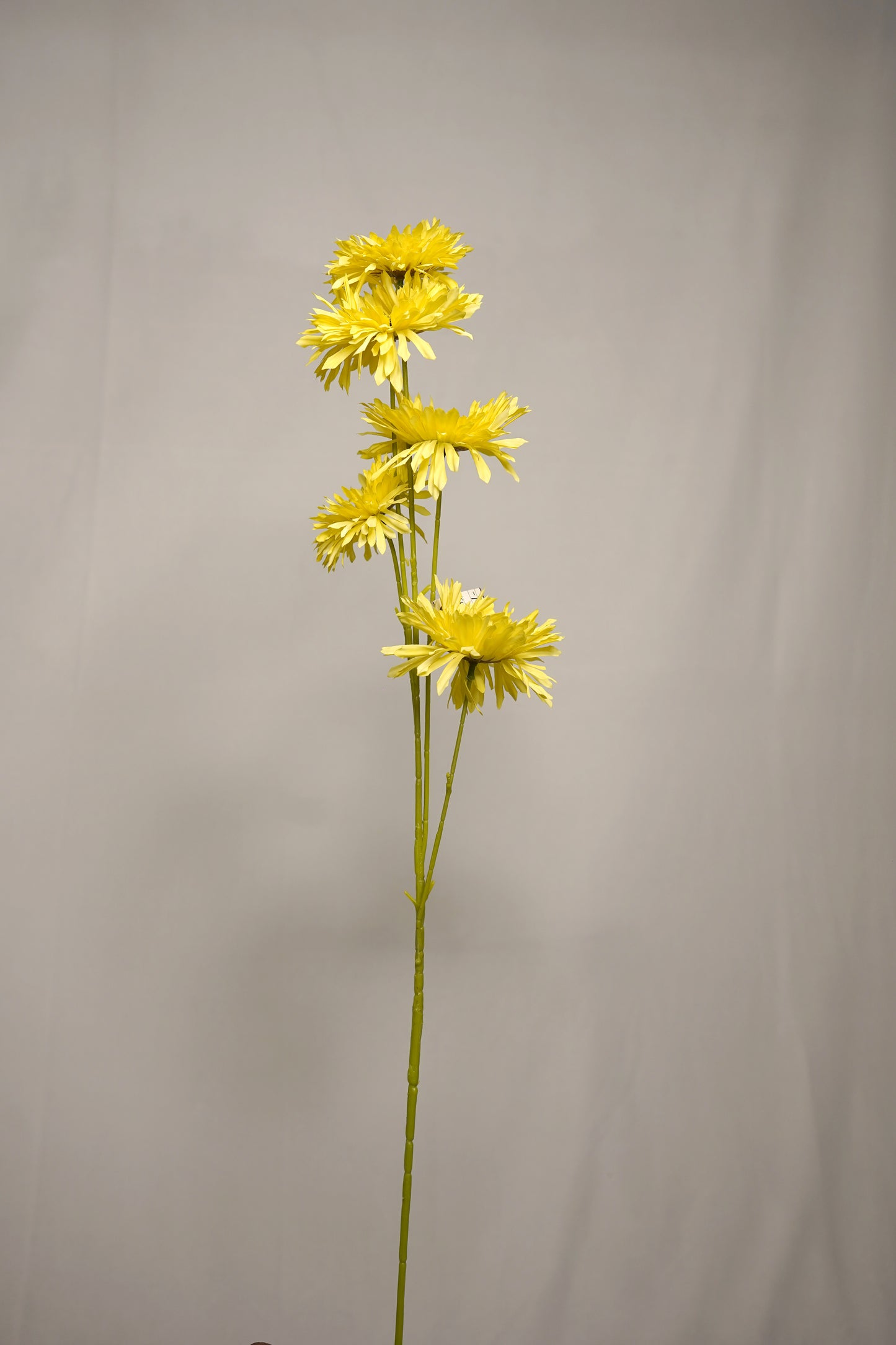 Bright Yellow Mum Flower Stick