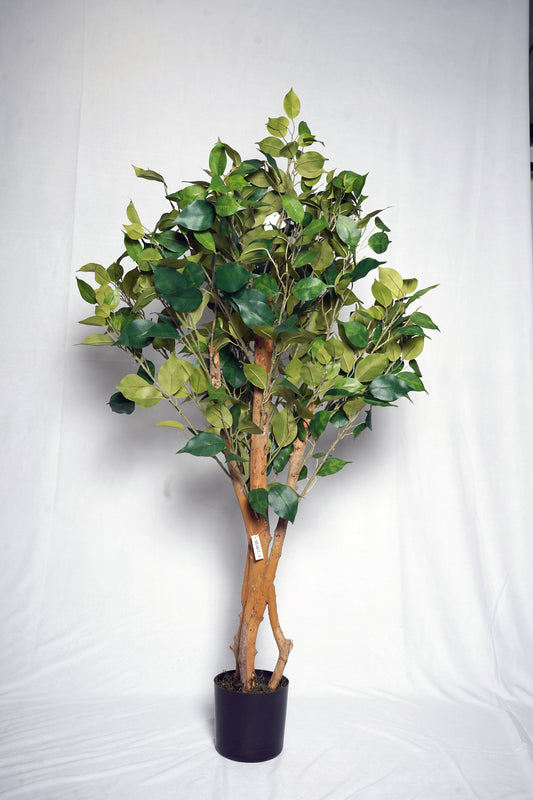 Faux Green Ficus Plant