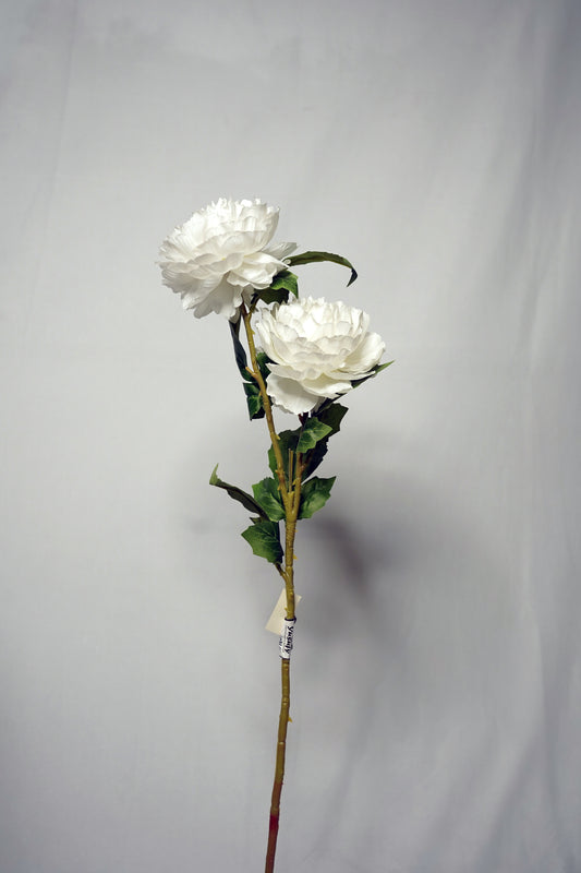 Pure White Peony Stem