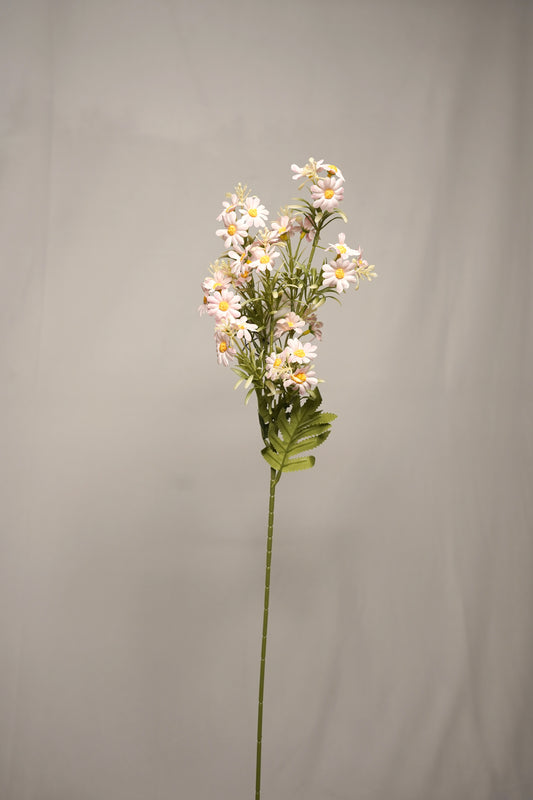 Fresh Bloom Daisy Stem